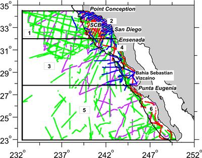 Dynamic Habitat Models Reflect Interannual Movement of Cetaceans Within the California Current Ecosystem